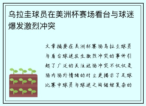 乌拉圭球员在美洲杯赛场看台与球迷爆发激烈冲突 乌拉圭球员在美洲杯赛场看台与球迷爆发激烈冲突